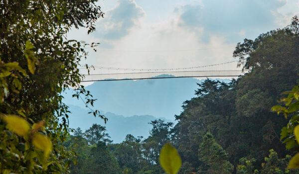 Nyungwe Forest National Park