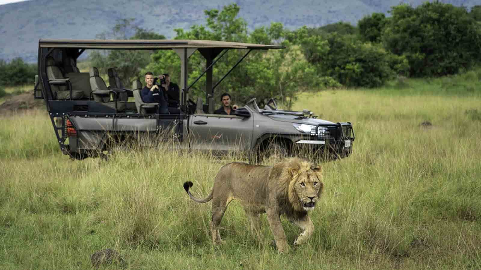 Big 5 Safari In Akagera National Park with Car Rental Kigali